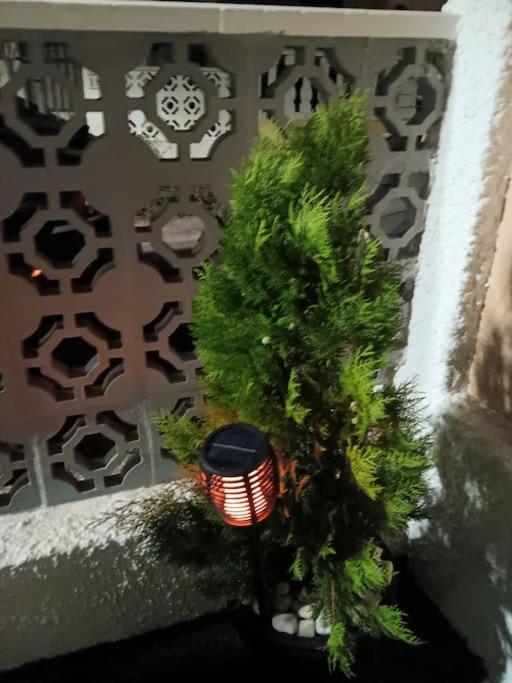 San Fulgencio Cozy Bungalow In Urb La Marina With Shared Pool מראה חיצוני תמונה
